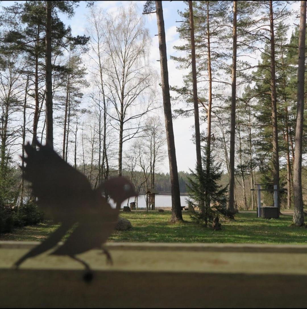 Dreamcatcher Страупе Экстерьер фото